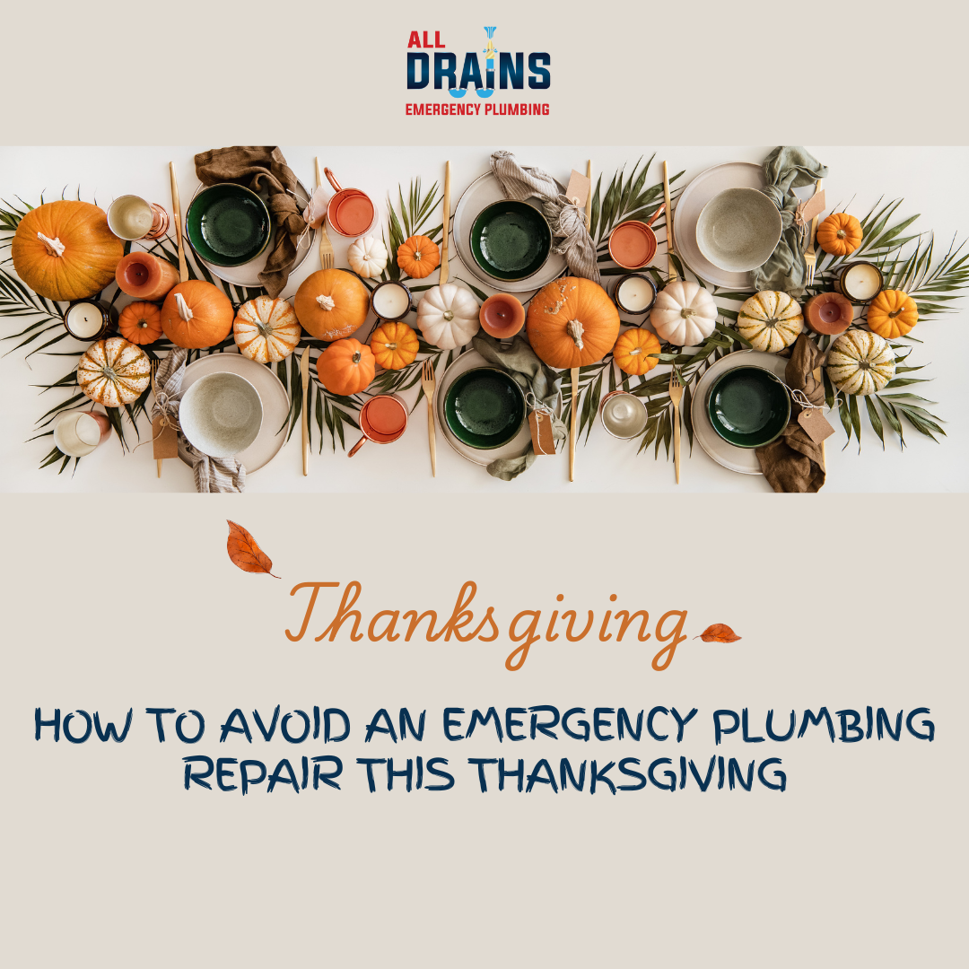 How to Avoid an Emergency Plumbing Repair This Holiday Season